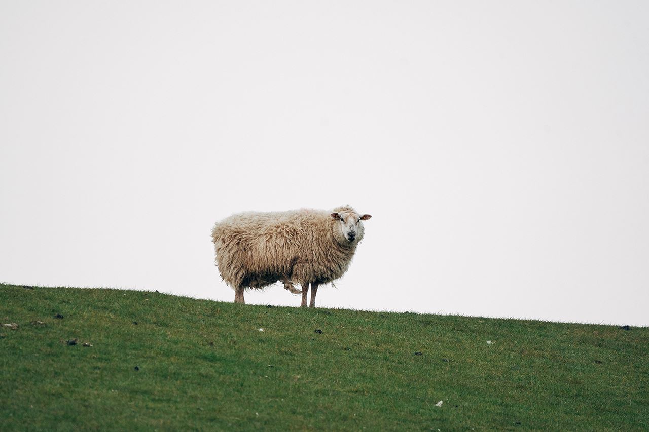 User-friendly interface